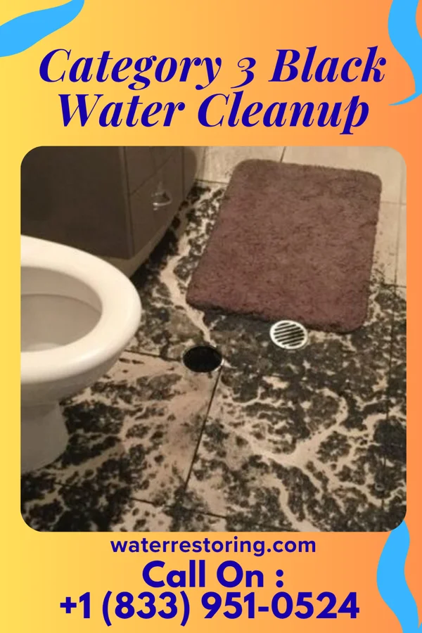 Category 3 Black Water Cleanup in Pemberton, MN