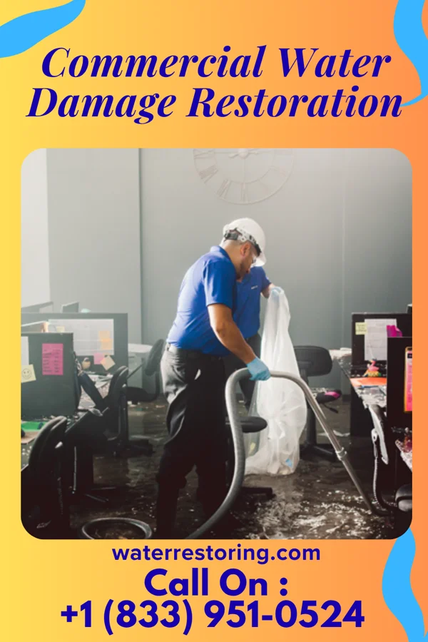 Commercial Water Damage Restoration in Pemberton, MN