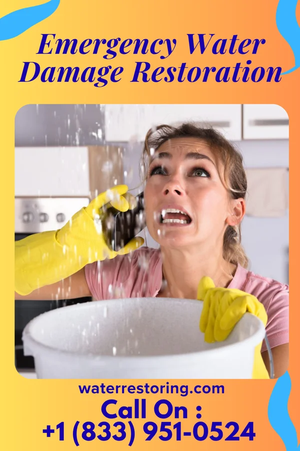 Emergency Water Damage Restoration in Pemberton, MN