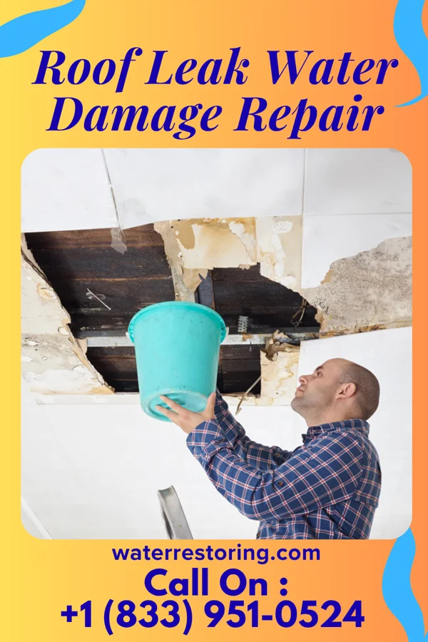 Roof Leak Water Damage Repair in Pemberton, MN