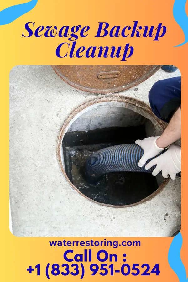 Sewage Backup Cleanup in Pemberton, MN