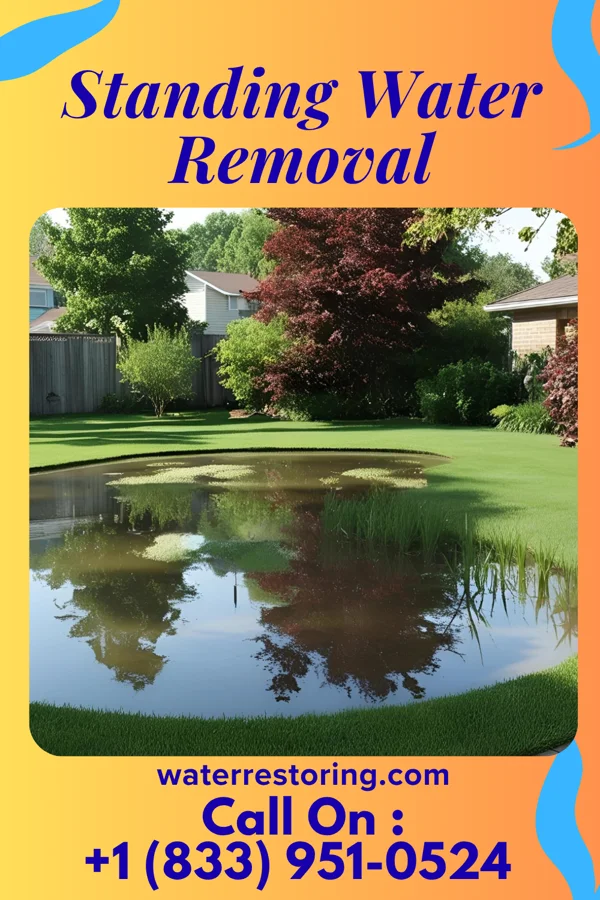 Standing Water Removal in Pemberton, MN
